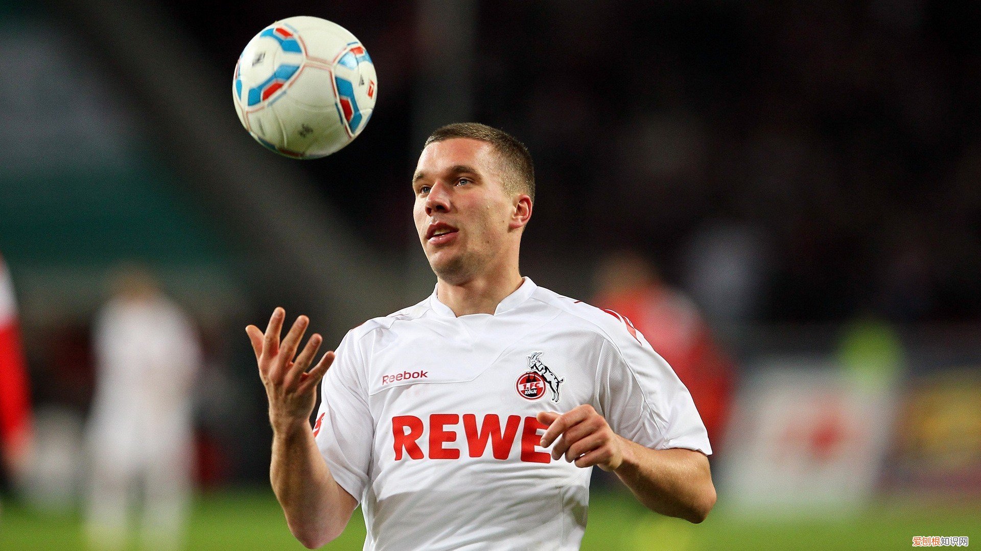 有冲劲的正能量句子 励志是什么意思