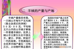羊毛棉羊绒是什么材质 什么是棉羊绒棉羊绒是什么成份