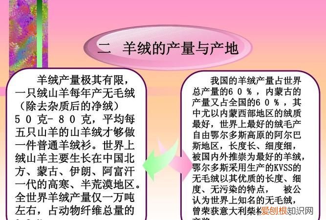 羊毛棉羊绒是什么材质 什么是棉羊绒棉羊绒是什么成份