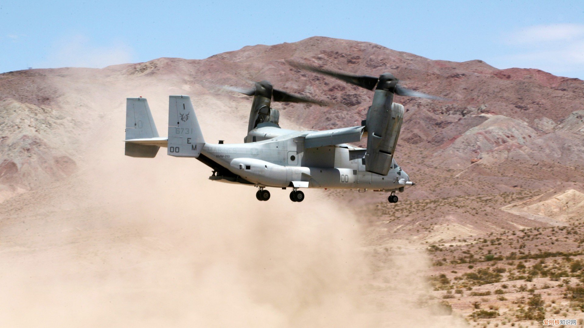 几天知道自己是否怀孕 多久知道自己怀孕