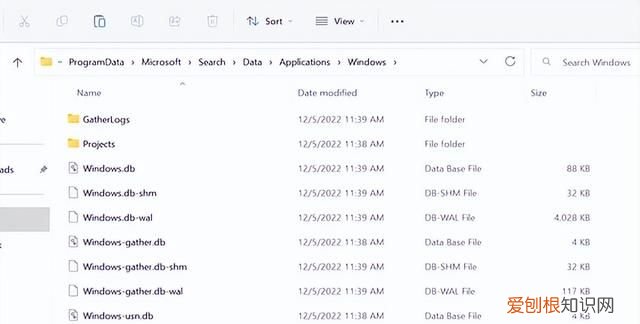 删除program files文件夹会怎样