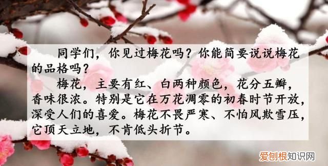 五年级下册第四课梅花魂课文讲解