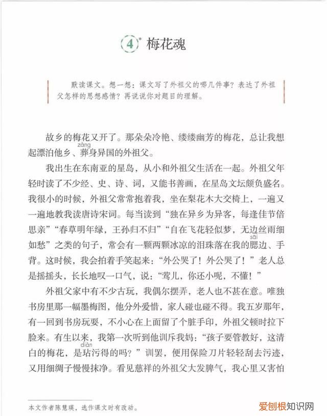 五年级下册第四课梅花魂课文讲解