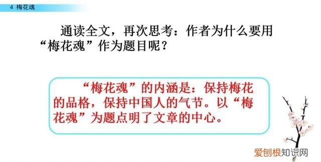 五年级下册第四课梅花魂课文讲解