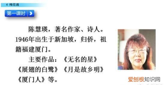 五年级下册第四课梅花魂课文讲解