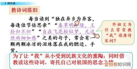 五年级下册第四课梅花魂课文讲解