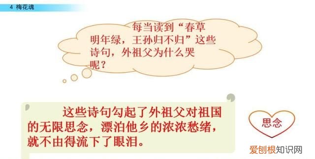 五年级下册第四课梅花魂课文讲解