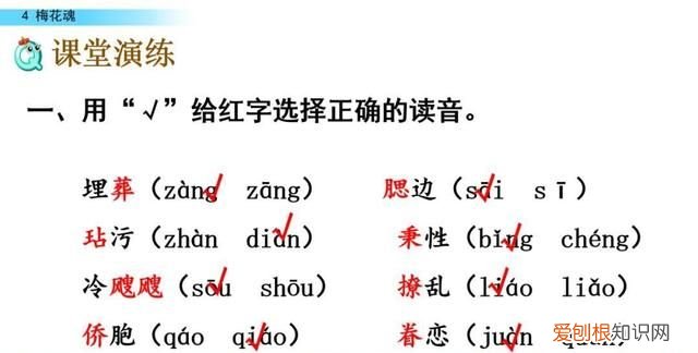 五年级下册第四课梅花魂课文讲解