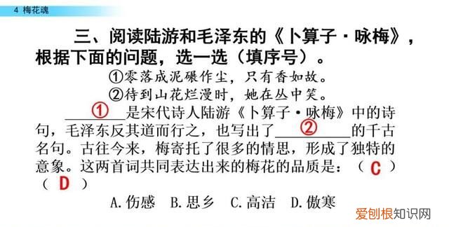 五年级下册第四课梅花魂课文讲解