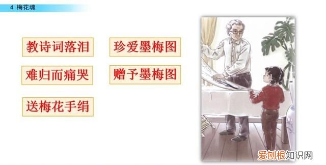 五年级下册第四课梅花魂课文讲解