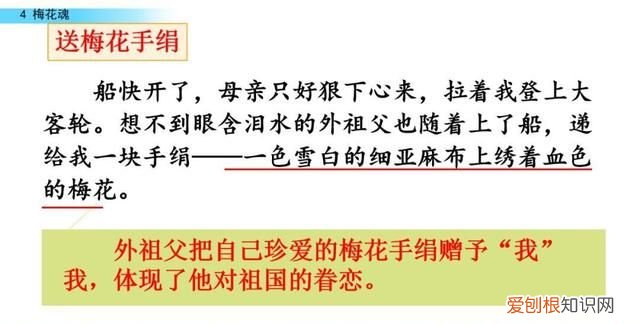 五年级下册第四课梅花魂课文讲解