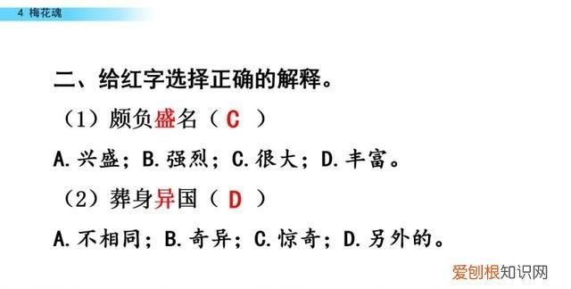 五年级下册第四课梅花魂课文讲解