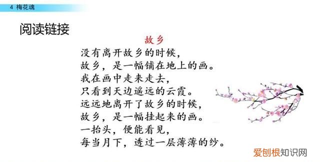 五年级下册第四课梅花魂课文讲解