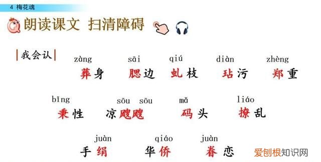 五年级下册第四课梅花魂课文讲解