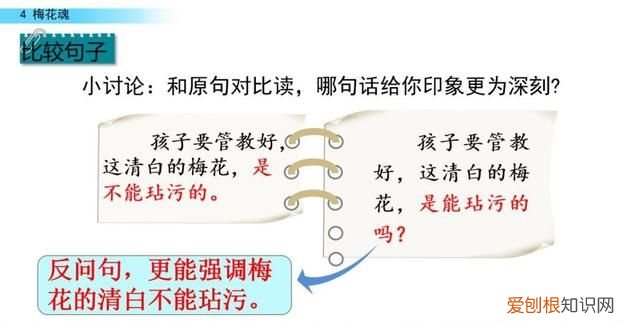 五年级下册第四课梅花魂课文讲解