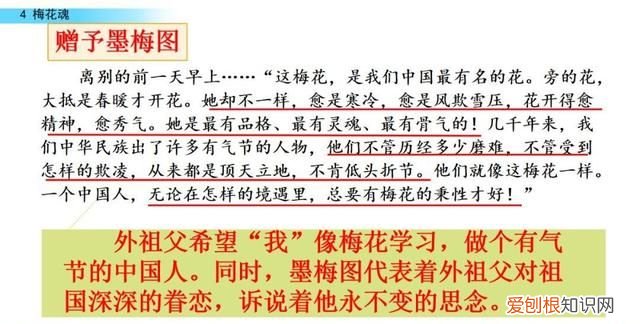 五年级下册第四课梅花魂课文讲解