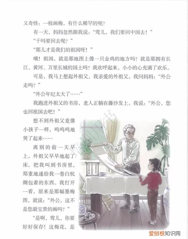 五年级下册第四课梅花魂课文讲解