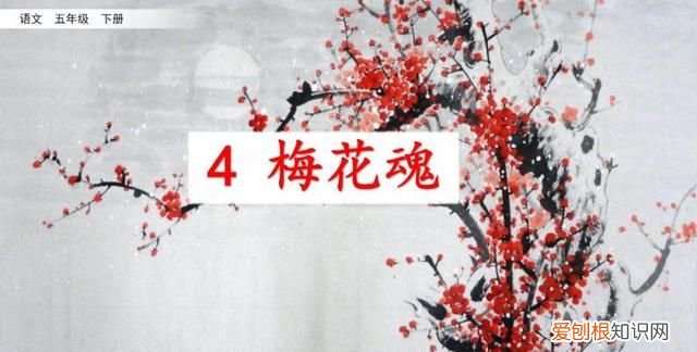 五年级下册第四课梅花魂课文讲解