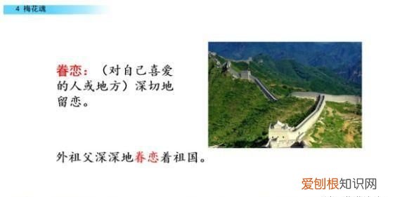 五年级下册第四课梅花魂课文讲解