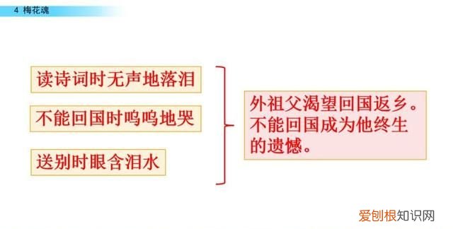 五年级下册第四课梅花魂课文讲解