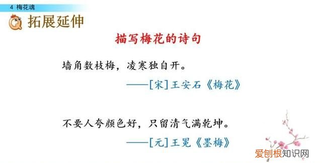 五年级下册第四课梅花魂课文讲解