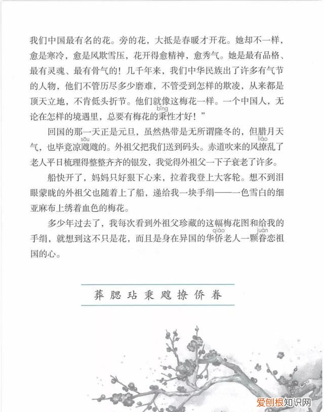 五年级下册第四课梅花魂课文讲解
