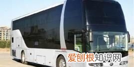 坐大巴车可以带宠物，想咨询个事情坐长途汽车或大巴可以带宠物猫