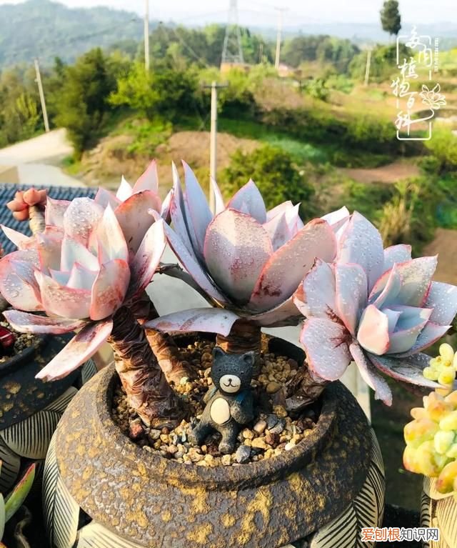 喜怒哀乐酸甜苦辣这就是所谓的人生