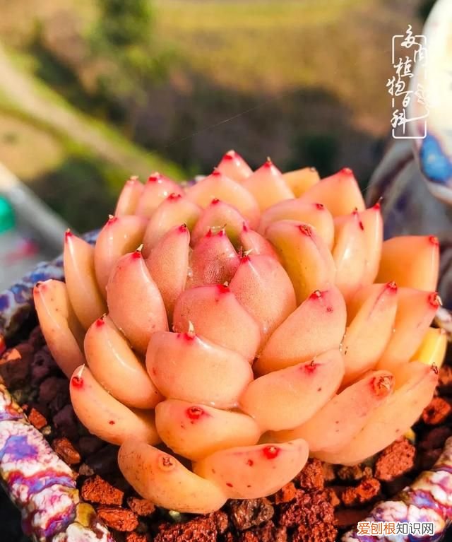 喜怒哀乐酸甜苦辣这就是所谓的人生