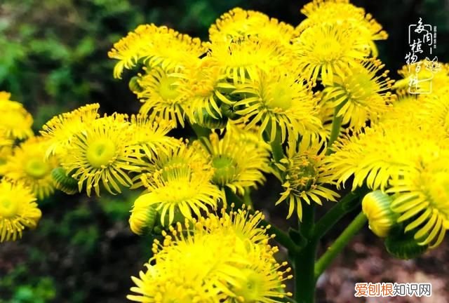 喜怒哀乐酸甜苦辣这就是所谓的人生