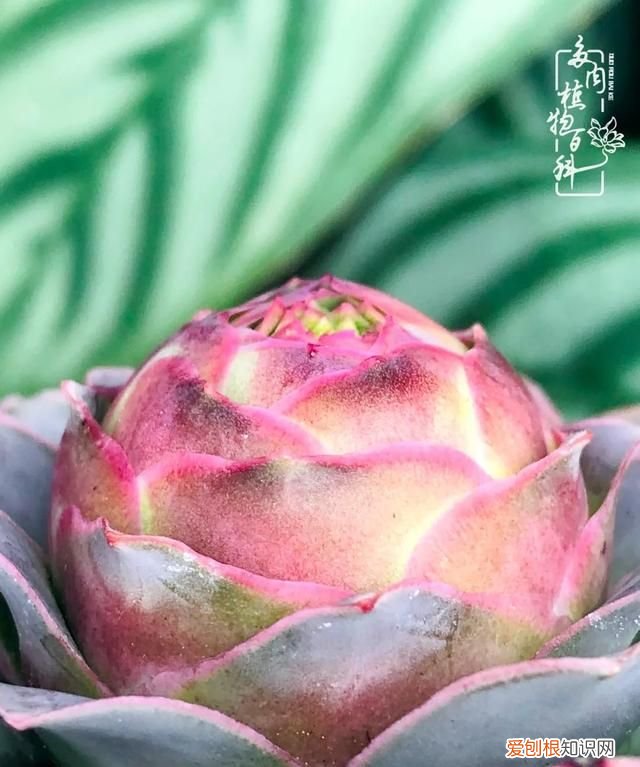 喜怒哀乐酸甜苦辣这就是所谓的人生