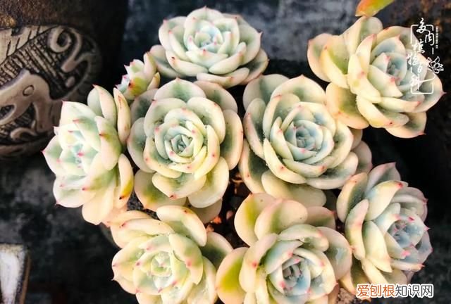 喜怒哀乐酸甜苦辣这就是所谓的人生