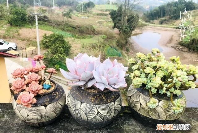 喜怒哀乐酸甜苦辣这就是所谓的人生