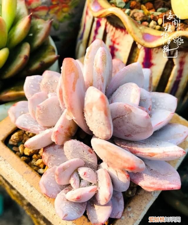 喜怒哀乐酸甜苦辣这就是所谓的人生