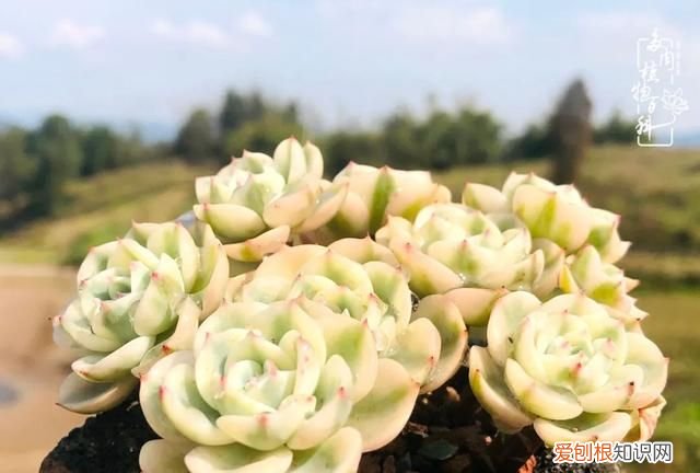 喜怒哀乐酸甜苦辣这就是所谓的人生