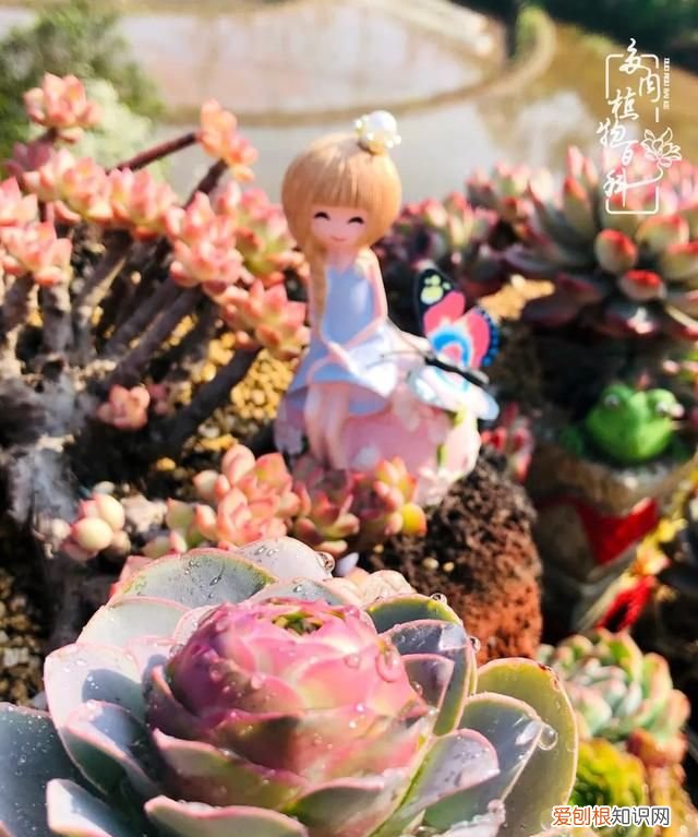 喜怒哀乐酸甜苦辣这就是所谓的人生