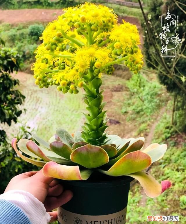 喜怒哀乐酸甜苦辣这就是所谓的人生