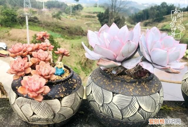 喜怒哀乐酸甜苦辣这就是所谓的人生