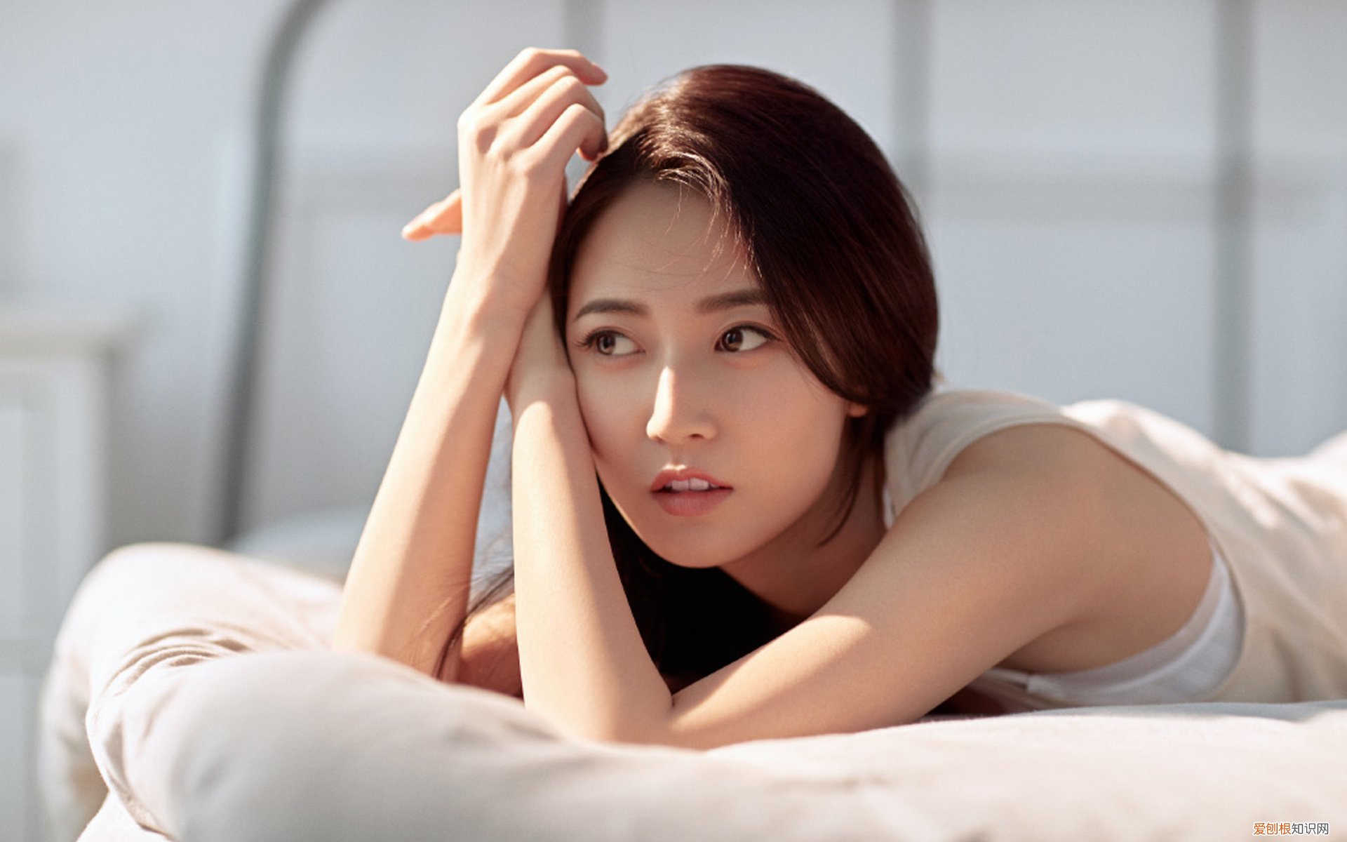 硬盘解释 硬盘是什么意思