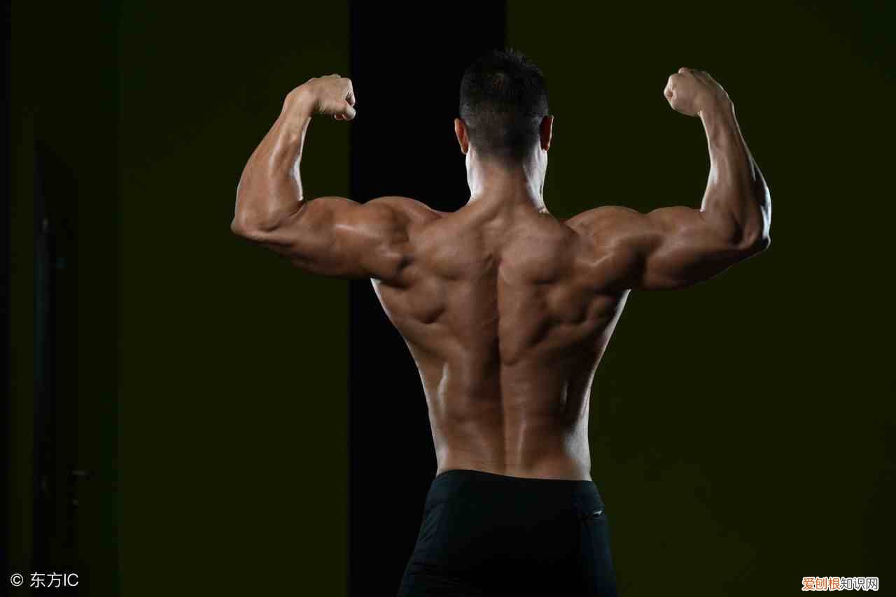 有氧运动有什么好处 有氧运动有哪些