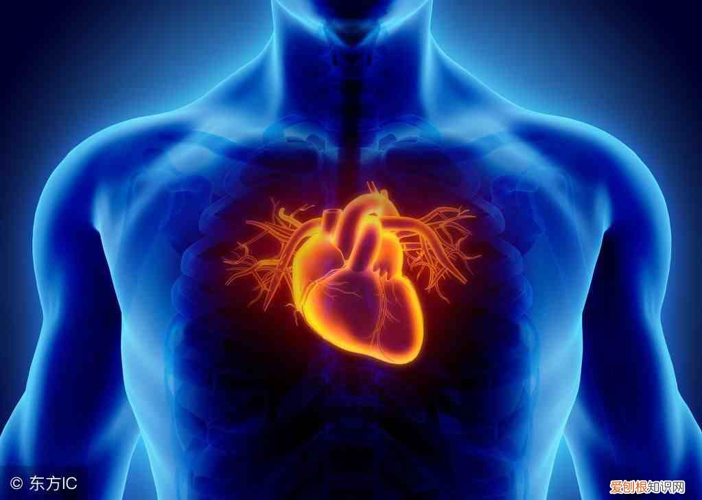 有氧运动有什么好处 有氧运动有哪些