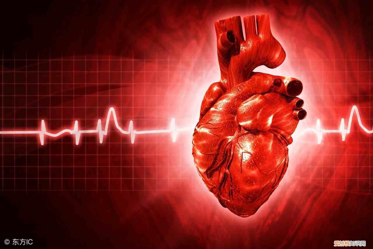 有氧运动有什么好处 有氧运动有哪些