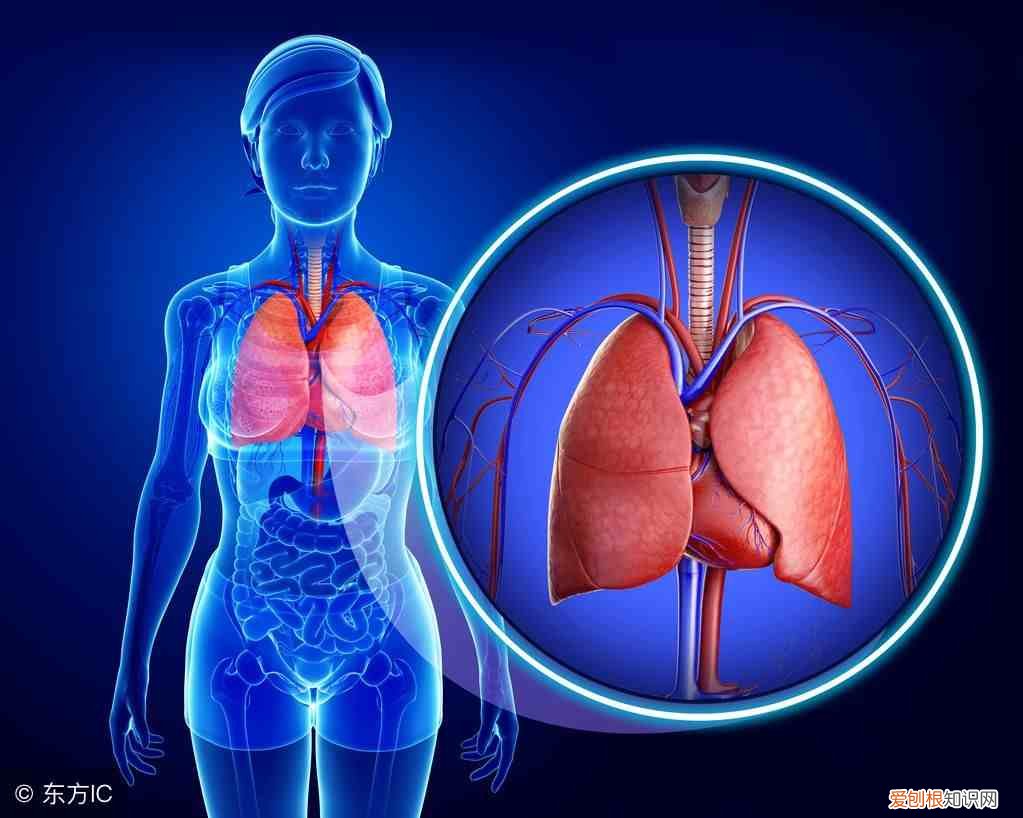 有氧运动有什么好处 有氧运动有哪些