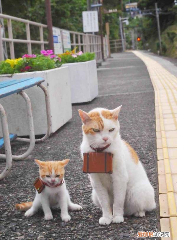 空调制热打开步骤 美的空调怎么调制热