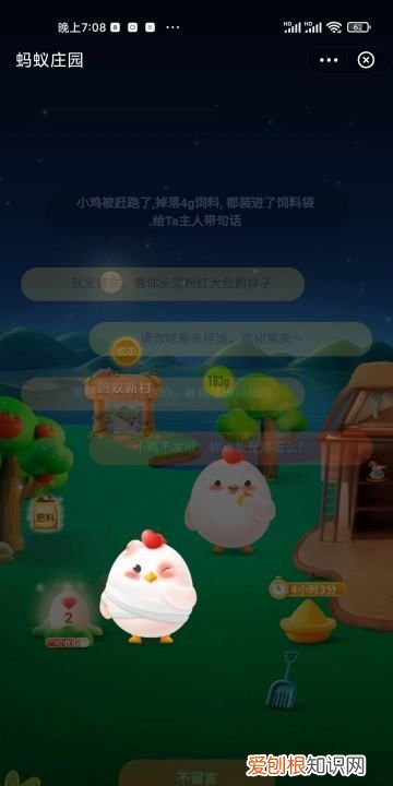 支付宝怎么揍好友小鸡视频，蚂蚁庄园如何才可以揍别人小鸡