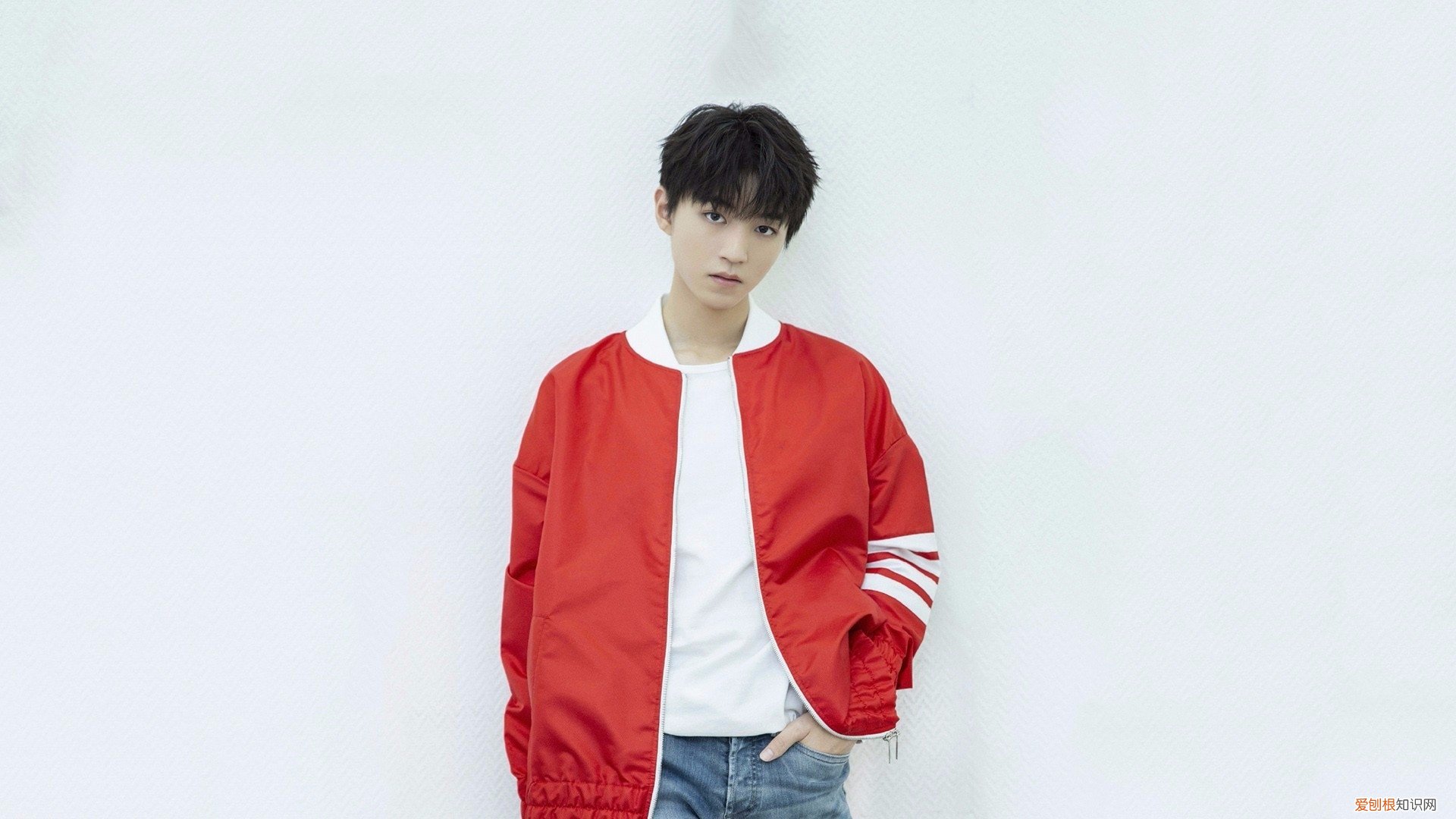 jv是什么缩写 jv是什么意思