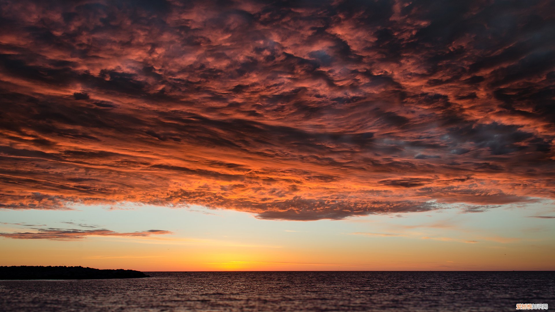 智能消防无人机，助力全球消防安全 无人机消防应用