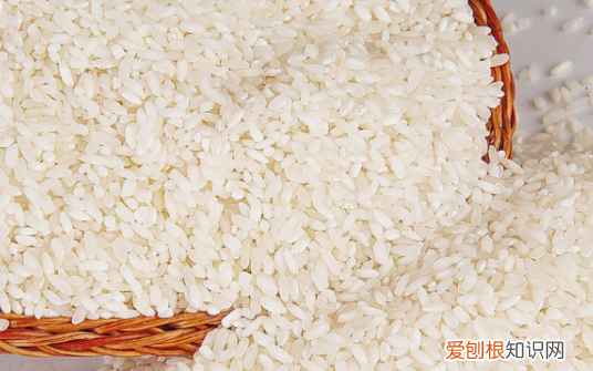 个人蒸米饭放多少ml米，一个人煮饭放多少米量杯