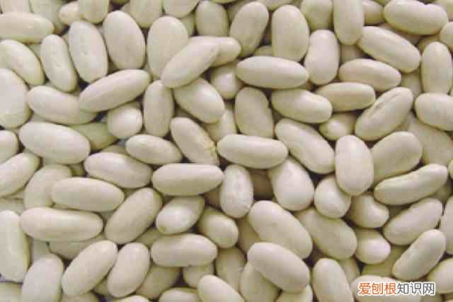 什么是碳水化合物 碳水化合物食物有哪些