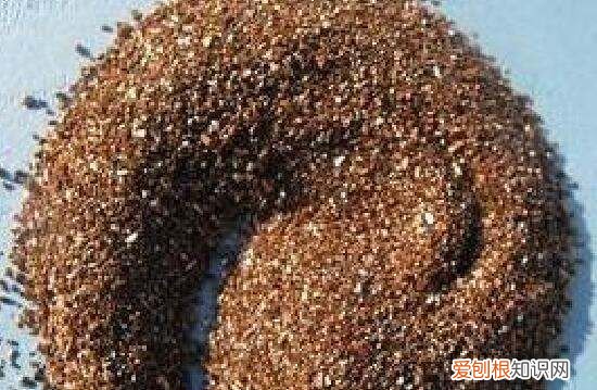 月季花剪枝后几天扦插，月季花的插扦方法 手把手教你扦插月季花